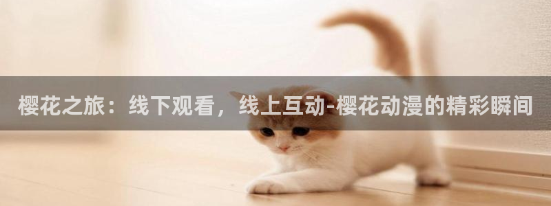 动漫资源导航
