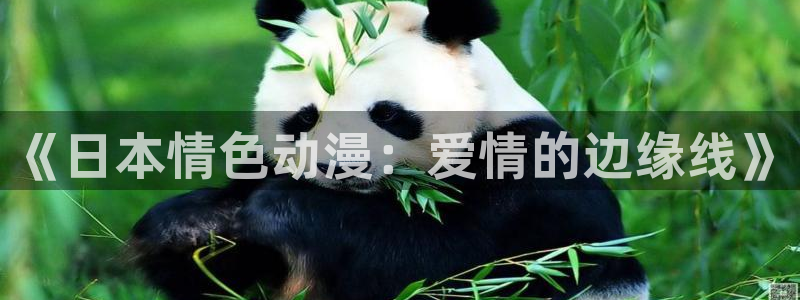 动漫网在线入口