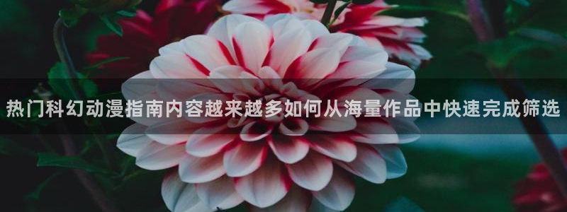 奇幻动漫
