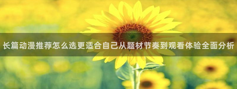 国产动漫大全