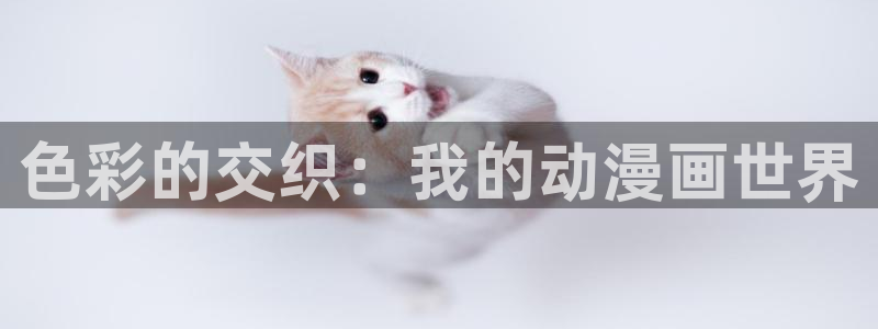 动漫网网址大全