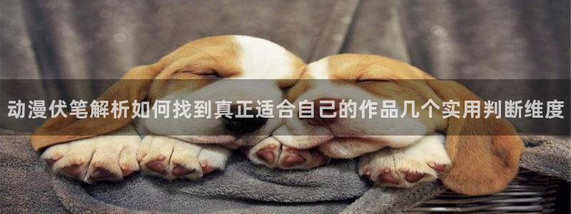 动漫网页版