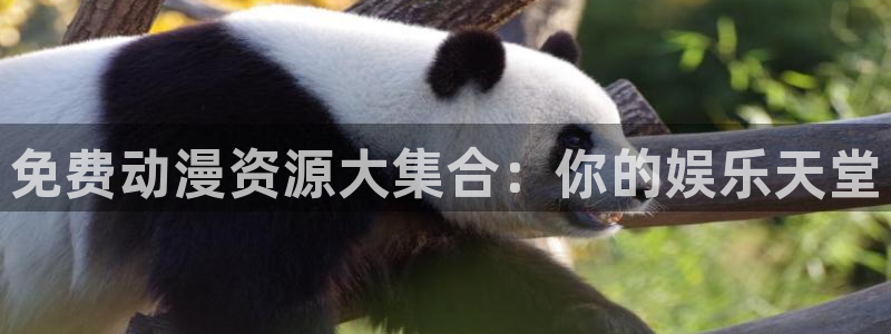 动漫作品介绍