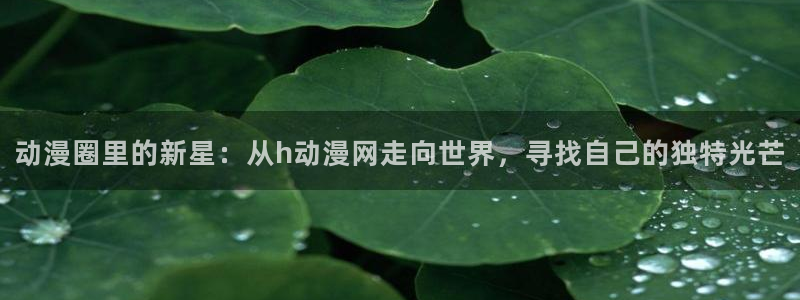 动漫搜索