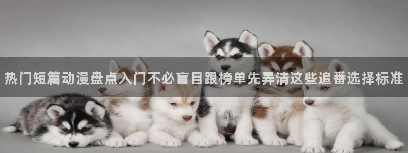 动漫每日更新