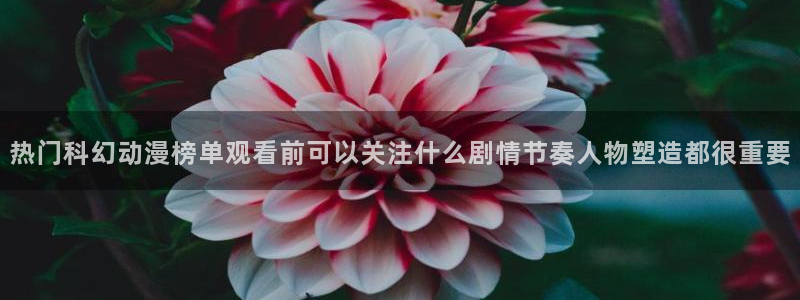 动漫资源大全