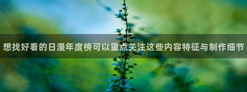 动漫查找