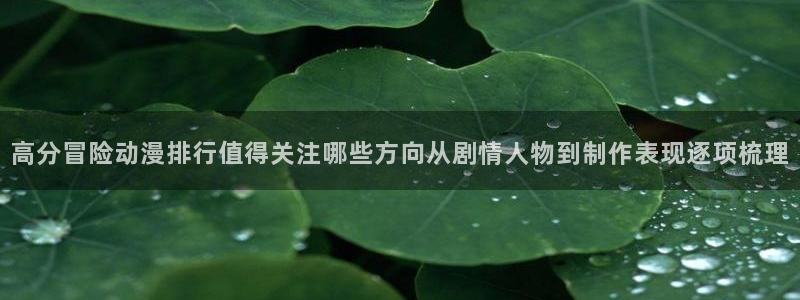 新番动画排行