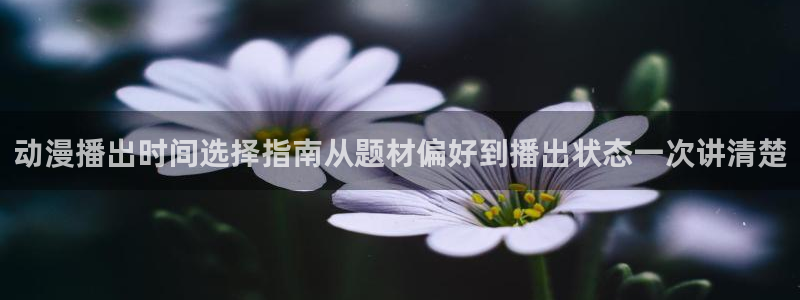动漫动态