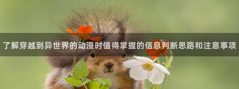 热门动漫作品