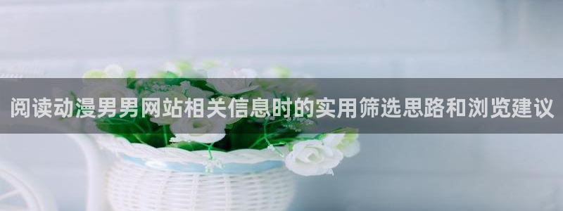动漫题材分类